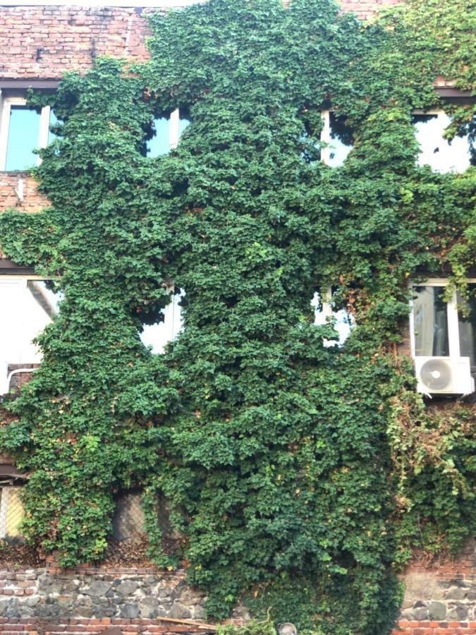 Center Dream House Apartment Sofia Exterior photo